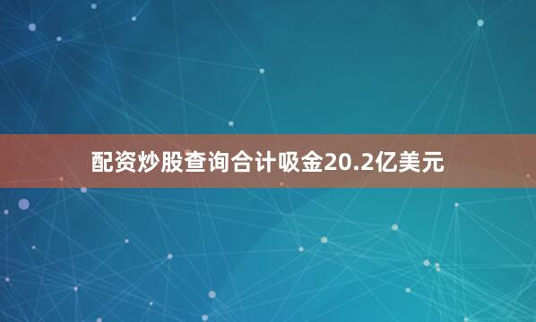 配资炒股查询合计吸金20.2亿美元