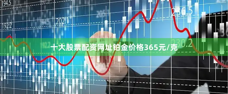 十大股票配资网址铂金价格365元/克