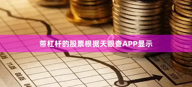 带杠杆的股票根据天眼查APP显示