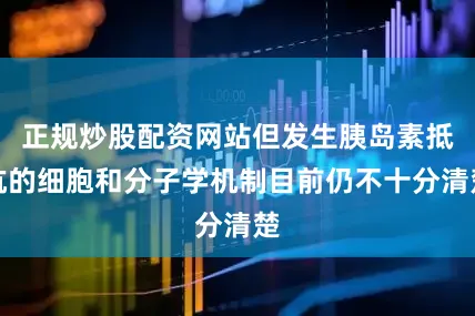 正规炒股配资网站但发生胰岛素抵抗的细胞和分子学机制目前仍不十分清楚