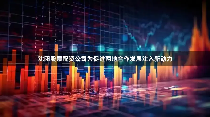 沈阳股票配资公司为促进两地合作发展注入新动力